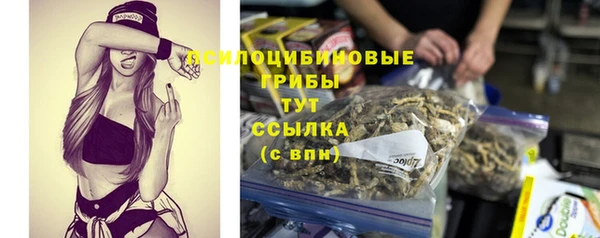 ГАЛЛЮЦИНОГЕННЫЕ ГРИБЫ Абдулино