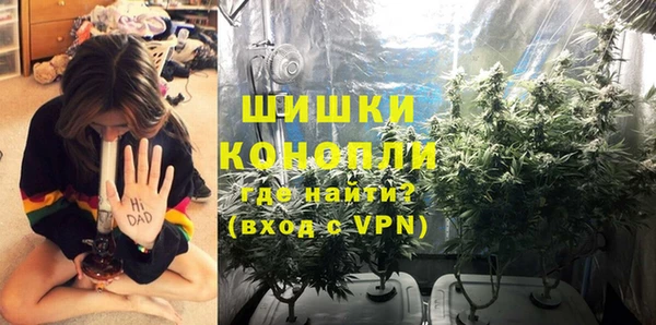 каннабис Каменногорск