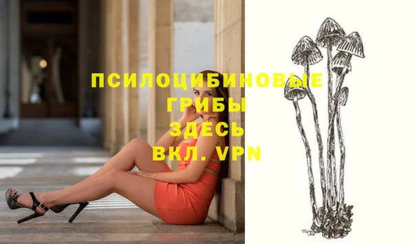 кокс Касимов