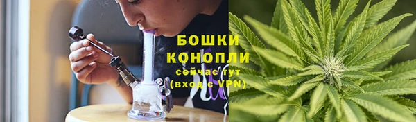 ГАЛЛЮЦИНОГЕННЫЕ ГРИБЫ Абдулино