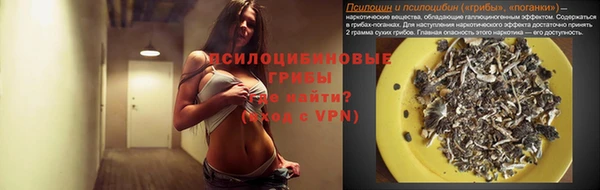 ГАЛЛЮЦИНОГЕННЫЕ ГРИБЫ Абдулино